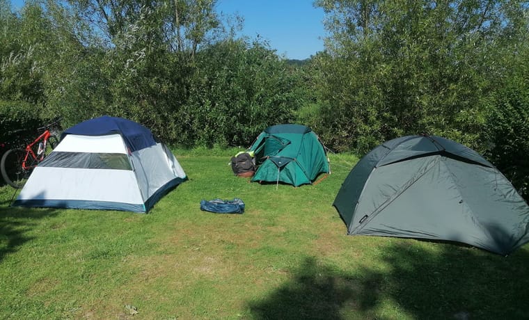 Emplacements sous les arbres
